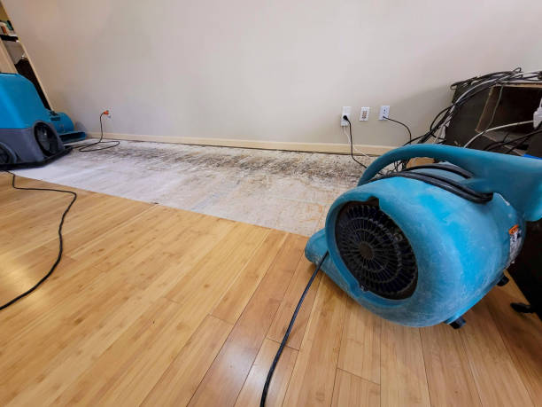 Professional Structural Drying technician working in Dansville, NY
